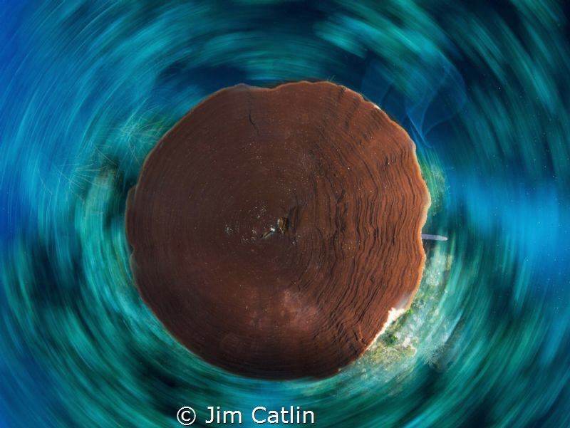 Spinning sponge, shot using slow shutter by Jim Catlin 