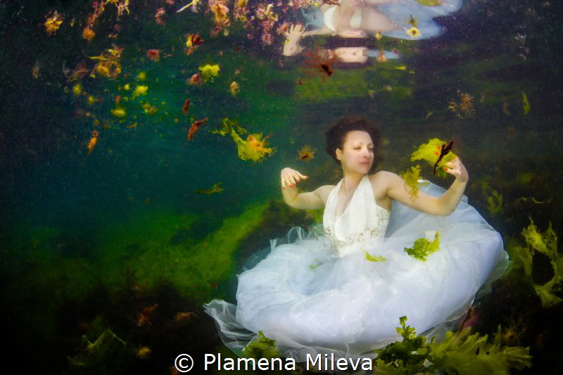 Jasmine in the underwater garden by Plamena Mileva 
