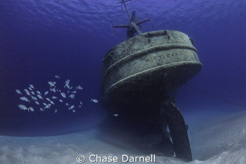 The EX USS Kittiwake with some Horse-eyed Jacks hanging a... by Chase Darnell 