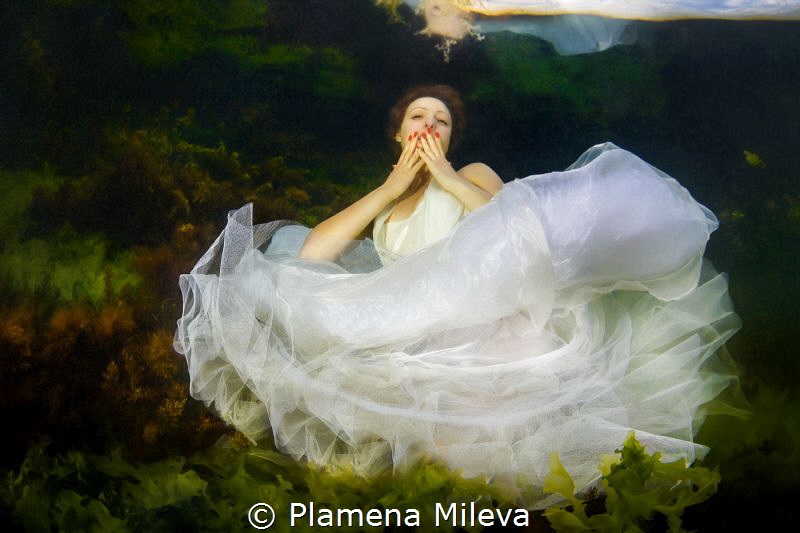 The Kiss by Plamena Mileva 