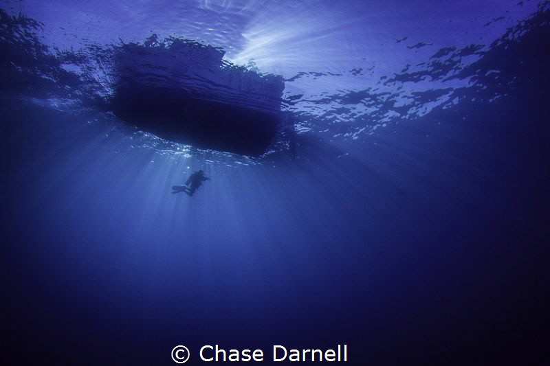 "Serenity" 

A diver completes his safety stop while be... by Chase Darnell 
