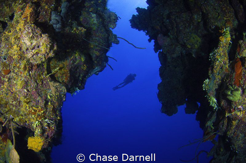 Never stop exploring! 
North Wall, Grand Cayman by Chase Darnell 