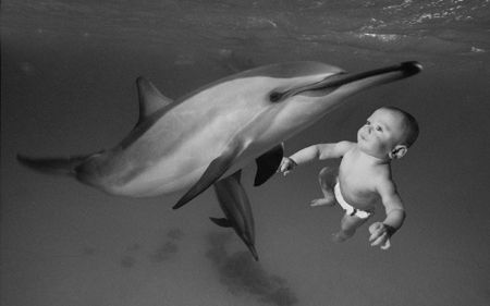 Innocent Encounter. The spinner dolphin was photographed ... by Len Deeley 