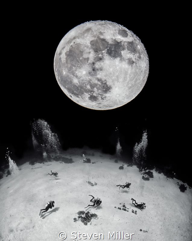 Night diving on the Full Moon by Steven Miller 