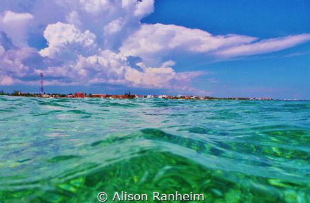 Snorkeling off a boat in the Yucatan, Puerto Morales, fis... by Alison Ranheim 