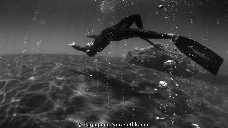 "Levitation"
This photo shoot in one of the amazing dive... by Parnupong Norasethkamol 