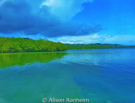 Where the ocean meets the Mangroves- salt water and fresh... by Alison Ranheim 