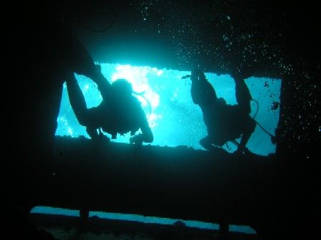 Divers in Ghiannis D, Red Sea by Gordana Zdjelar 