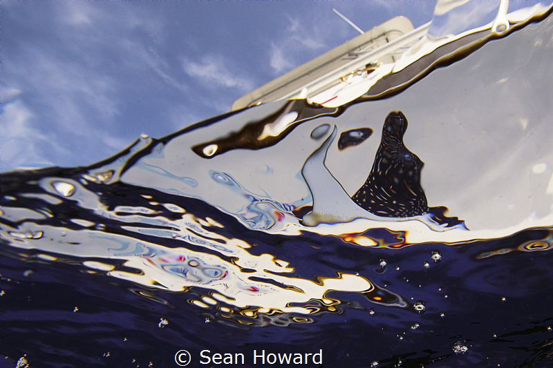 Living the Dream Divers in Abstract by Sean Howard 
