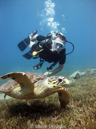 Diver and friendly male Hawksbill turtle over seagrass by Laura Dinraths 