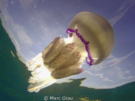 Jellyfish on the sky by Marc Grau 