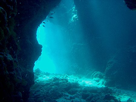 St Johns Caves, Southern Red Sea. Taken in September 2005... by Sarah Iles 