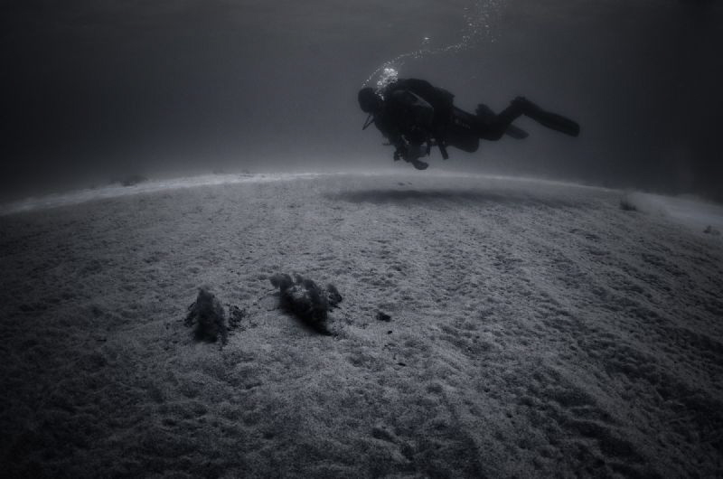 The scuba diver is moving over the sandy bottom in shallo... by Dmitry Starostenkov 