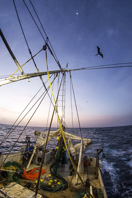 scientific campaign on a shrimper (french guiana) by Mathieu Foulquié 