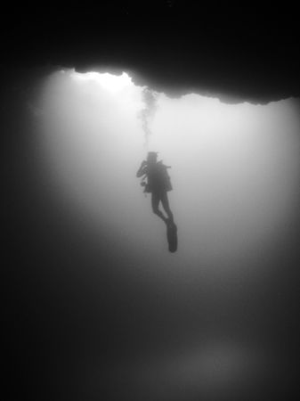 Inside "Sharks Cave" offshore of Dangriga, southern Belize. by Martin Spragg 