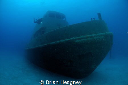 A recently submerged tug becomes an artificial reef. Niko... by Brian Heagney 