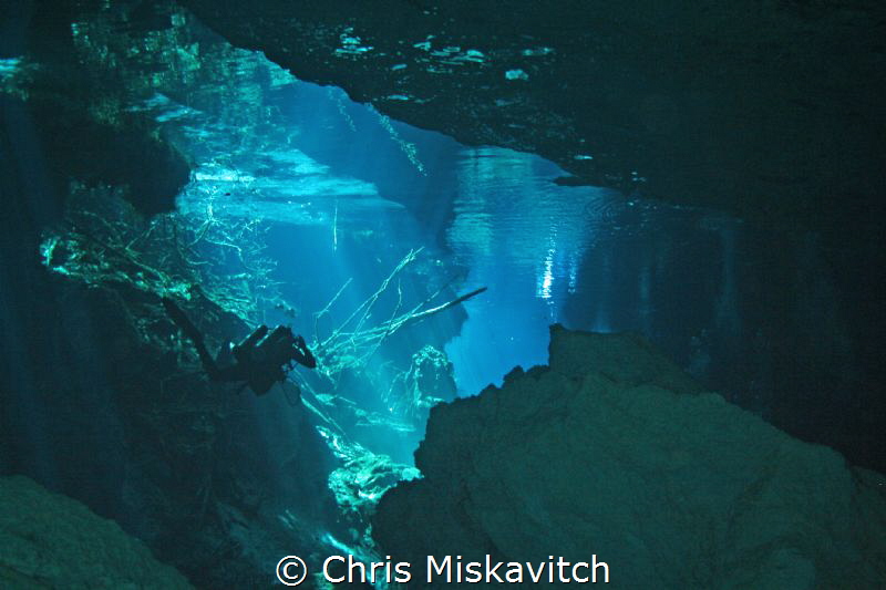 Cenote and Diver by Chris Miskavitch 