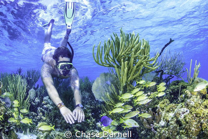 "Dropping In" 
Snorkeler explores a vibrant reef in the ... by Chase Darnell 