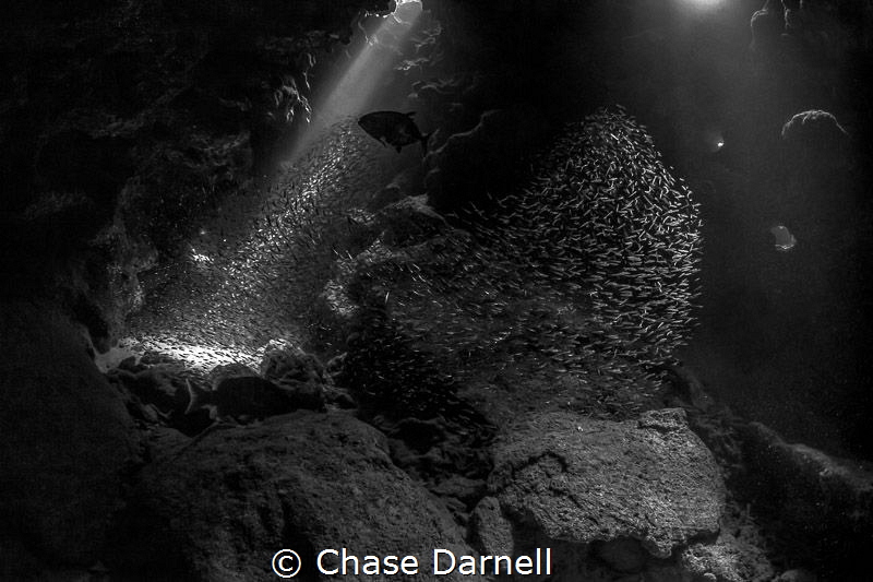 "Shimmer"
Sun-rays spill though the cracks in Devil's Gr... by Chase Darnell 