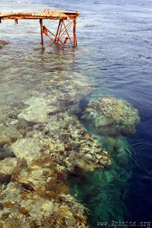 This is the pier jutting out over Daedalus Reef. The reef... by Zaid Fadul 
