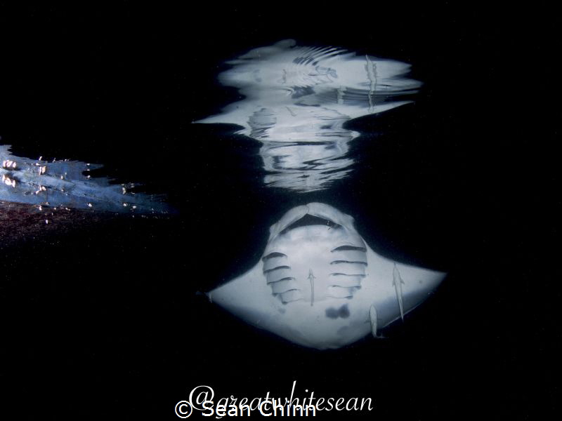 Reflection. Taken at night from a snorkelling position at... by Sean Chinn 
