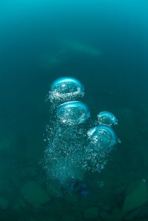 Bubbles. by Derek Haslam 