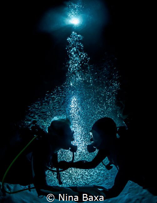 Honeymooners - a couple on a dive with Silversides a day ... by Nina Baxa 