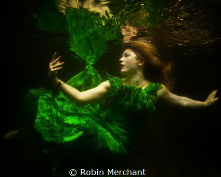 I tried using a mirror underwater to bounce extra light o... by Robin Merchant 