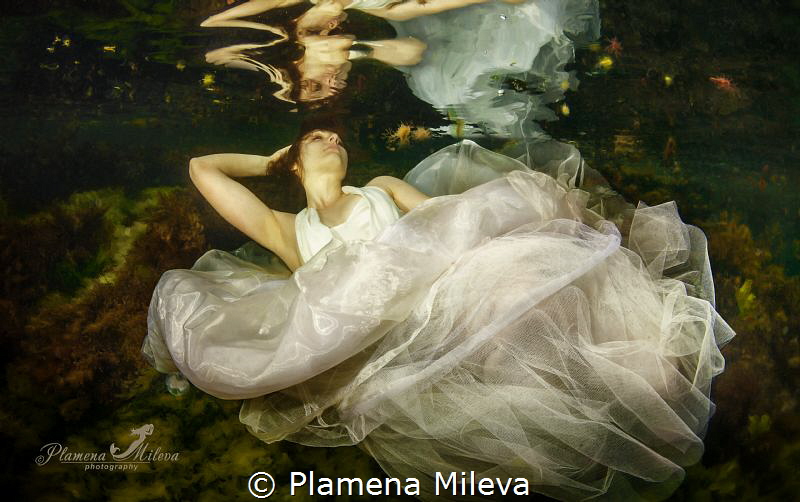 "White dream in the Dark water" by Plamena Mileva 