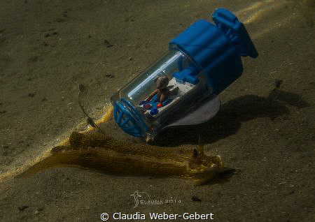Teddi's submarine adventures - encounter with a nudi by Claudia Weber-Gebert 