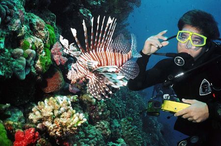 Gus and a lion fish. by Jess Guberman 
