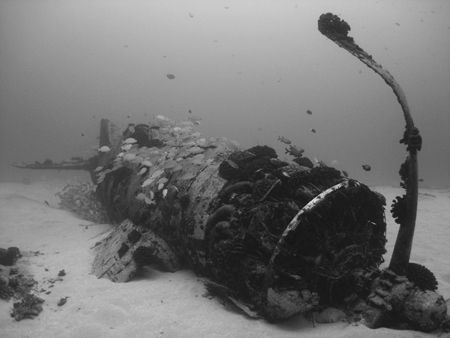 'The Corsair' - Plane wreck off south-eastern shore of Oa... by Jeffrey M Owen 