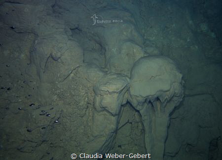 "La méduse" - "the jellyfish"

Limestone-formation in a... by Claudia Weber-Gebert 