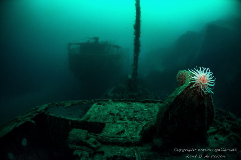 Parat and Ferndale wreck from WW2 sunk at the same day, i... by Rene B. Andersen 