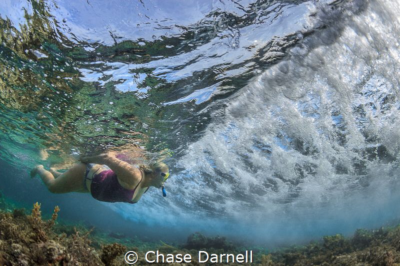 "Suspended" 
A Snorkeler prepares to duck under a small ... by Chase Darnell 