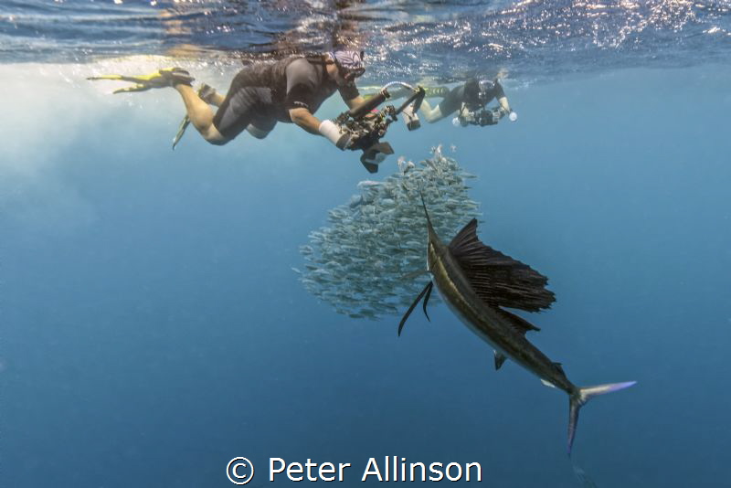 Sailfish run photo showing photographers and the fish by Peter Allinson 