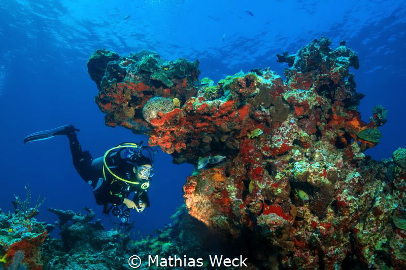 Mexico - Isla Mujeres - Reef by Mathias Weck 