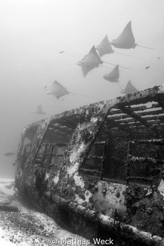 Mexico - Isla Mujeres - Canonero 55 Wreck by Mathias Weck 