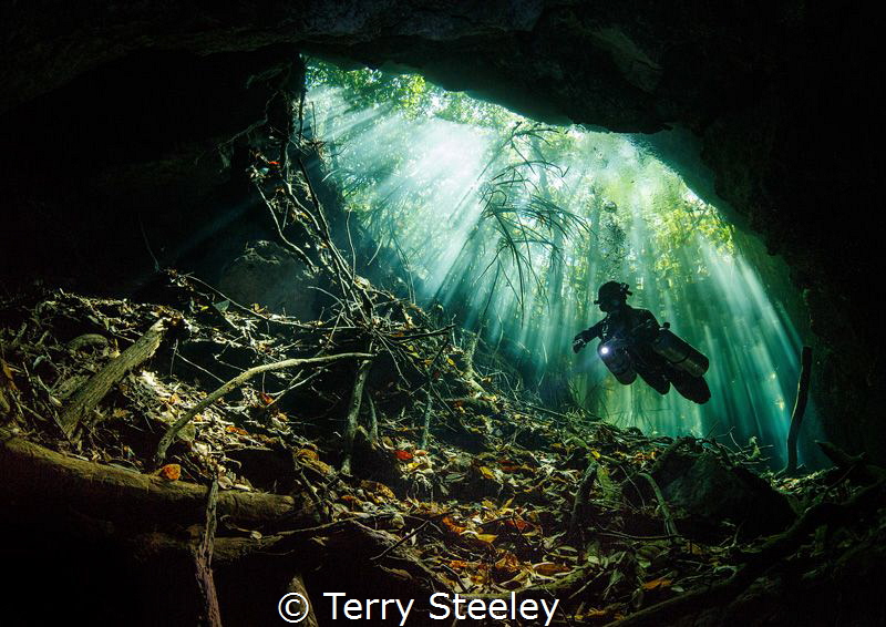 'Light beams in the Mangroves'
Cenote Mangrova. (Bill's ... by Terry Steeley 