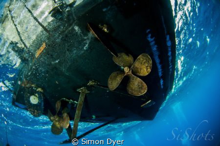 As a diver i hate it that fish can stay down and i have t... by Simon Dyer 