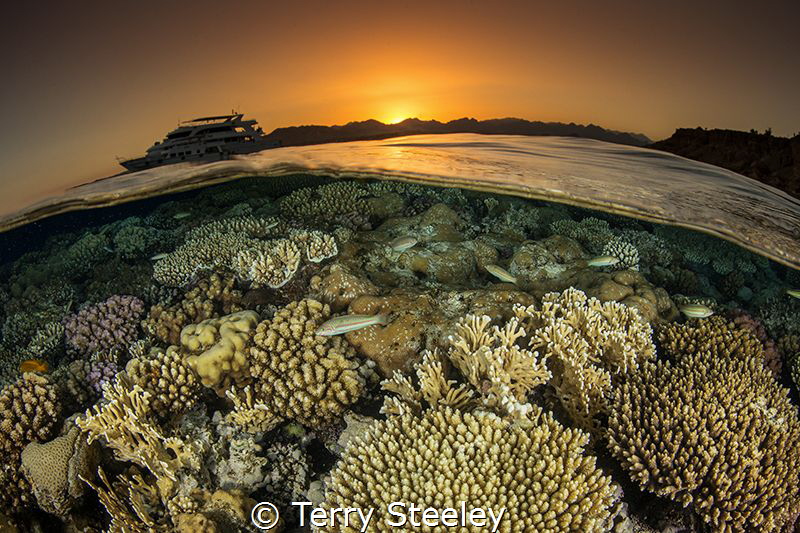 'Sunset split'
Ras Katy, Egypt, Red Sea.
—
Subal under... by Terry Steeley 