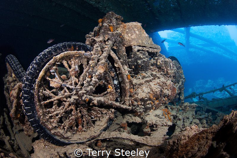 BSA Motorbike in SS Thistlegorm
Red Sea, Egypt
—
Subal... by Terry Steeley 