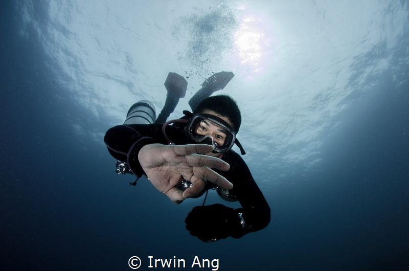 Model of the day
Diver
Puerto Galera, Philippines. Octo... by Irwin Ang 