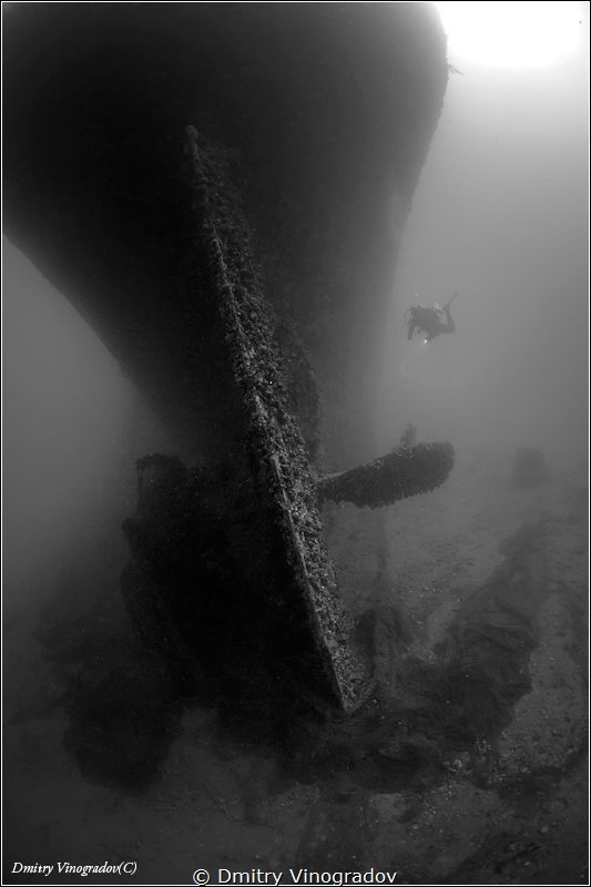 Red Sea. Egypt. The Gulf of Suez. Shipwreck SS Turkia. Su... by Dmitry Vinogradov 
