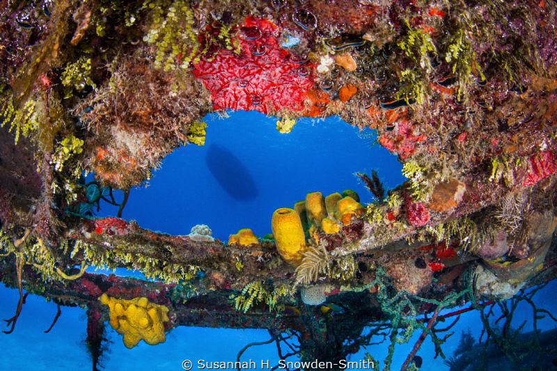 "Colorful Frame"
The wreck of the Doc Polson provides a ... by Susannah H. Snowden-Smith 