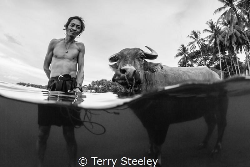 'Farmer and bull'. Dumaguete, Philippines.
—
Subal unde... by Terry Steeley 