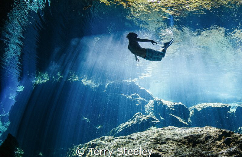 'The scuba diver dives to look around, whilst a freediver... by Terry Steeley 