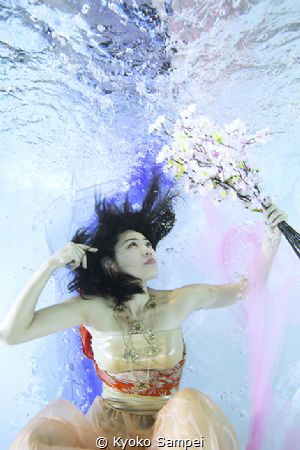 SAKURA underwater by Kyoko Sampei 