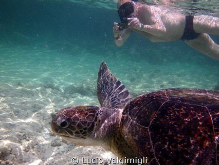 Swimming with a turtle by Lucio Valgimigli 