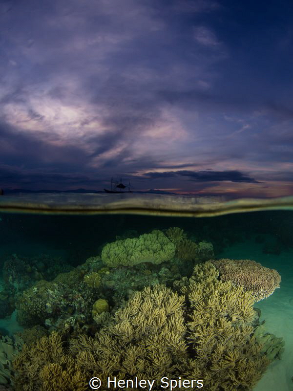 Reef at sunset in Moalboal by Henley Spiers 